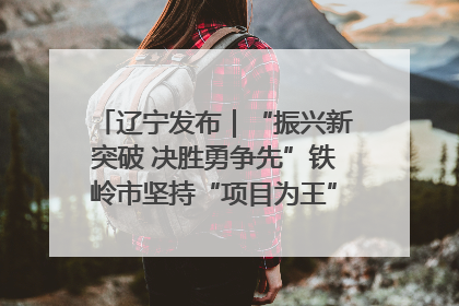 辽宁发布｜“振兴新突破 决胜勇争先”铁岭市坚持“项目为王”推进经济高质量发展