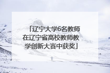 辽宁大学6名教师在辽宁省高校教师教学创新大赛中获奖