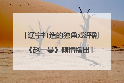 辽宁打造的独角戏评剧《赵一曼》倾情播出