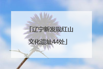 辽宁新发现红山文化遗址44处