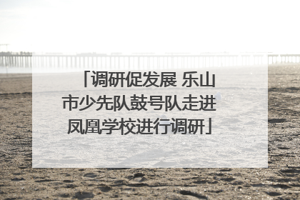 调研促发展 乐山市少先队鼓号队走进凤凰学校进行调研