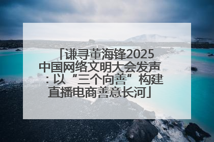 谦寻董海锋2025中国网络文明大会发声：以“三个向善”构建直播电商善意长河