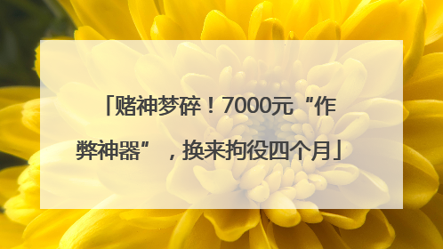 赌神梦碎！7000元“作弊神器”，换来拘役四个月