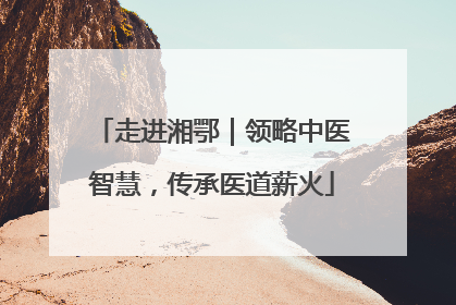 走进湘鄂｜领略中医智慧，传承医道薪火