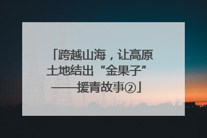 跨越山海，让高原土地结出“金果子”——援青故事②