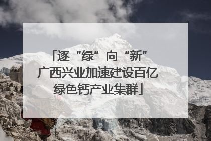 逐“绿”向“新” 广西兴业加速建设百亿绿色钙产业集群