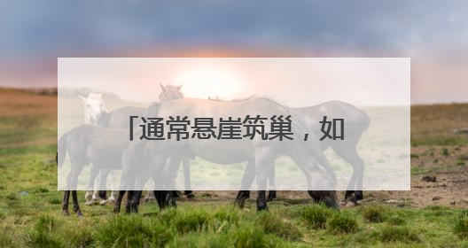 通常悬崖筑巢，如今首钢园安家！还孵出10只萌宝宝