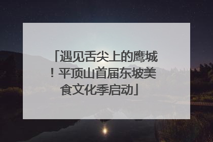 遇见舌尖上的鹰城！平顶山首届东坡美食文化季启动