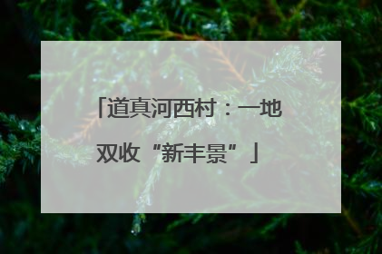 道真河西村：一地双收“新丰景”