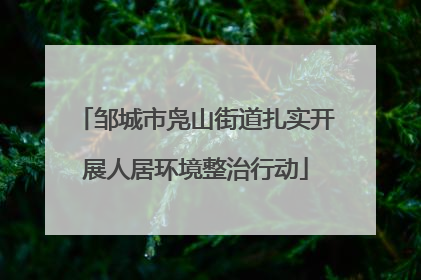 邹城市凫山街道扎实开展人居环境整治行动