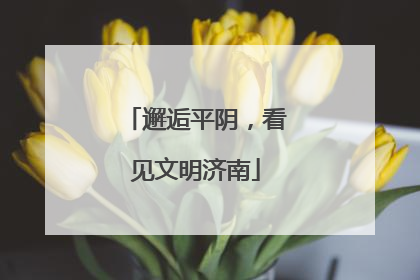 邂逅平阴，看见文明济南