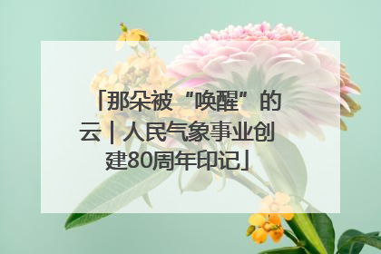 那朵被“唤醒”的云｜人民气象事业创建80周年印记