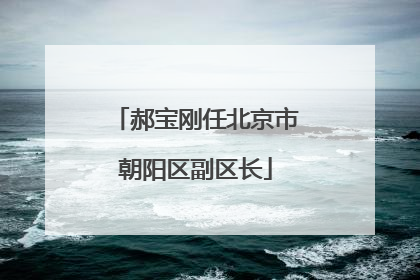 郝宝刚任北京市朝阳区副区长