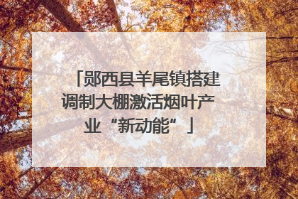 郧西县羊尾镇搭建调制大棚激活烟叶产业“新动能”
