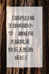 郧西县城关镇明德小学：趣味闯关展风采 快乐无纸助成长