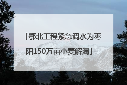 鄂北工程紧急调水为枣阳150万亩小麦解渴