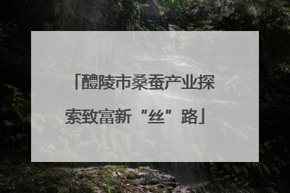 醴陵市桑蚕产业探索致富新“丝”路