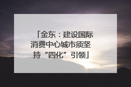 金东：建设国际消费中心城市须坚持“四化”引领