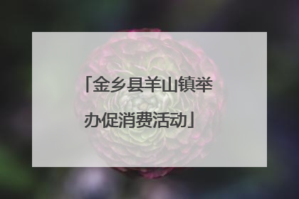 金乡县羊山镇举办促消费活动