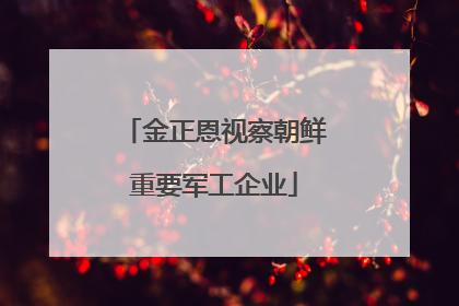 金正恩视察朝鲜重要军工企业