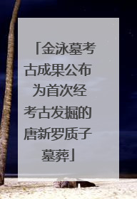 金泳墓考古成果公布 为首次经考古发掘的唐新罗质子墓葬