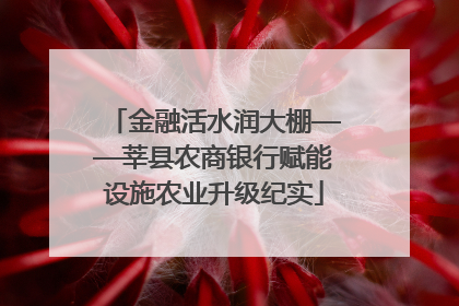 金融活水润大棚——莘县农商银行赋能设施农业升级纪实