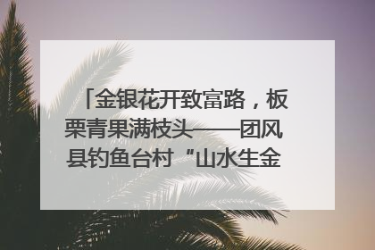 金银花开致富路，板栗青果满枝头——团风县钓鱼台村“山水生金”谱写共富新篇章
