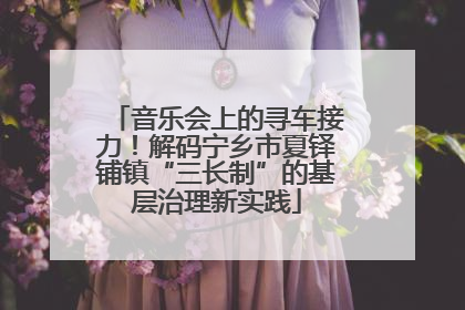 音乐会上的寻车接力！解码宁乡市夏铎铺镇“三长制”的基层治理新实践