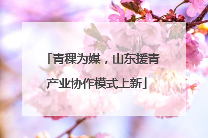 青稞为媒，山东援青产业协作模式上新