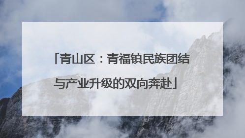 青山区：青福镇民族团结与产业升级的双向奔赴