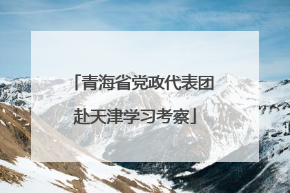 青海省党政代表团赴天津学习考察