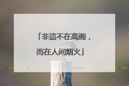 非遗不在高阁，而在人间烟火