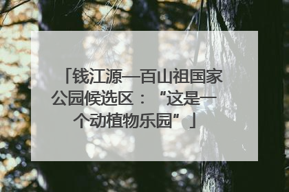 钱江源—百山祖国家公园候选区：“这是一个动植物乐园”