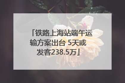 铁路上海站端午运输方案出台 5天或发客238.5万