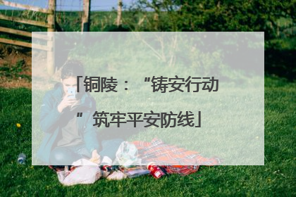 铜陵：“铸安行动”筑牢平安防线