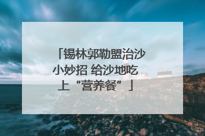 锡林郭勒盟治沙小妙招 给沙地吃上“营养餐”
