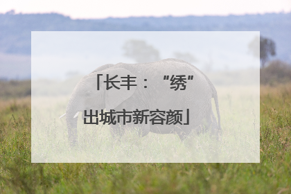 长丰：“绣”出城市新容颜