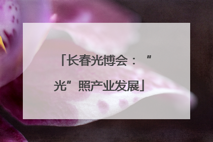 长春光博会：“光”照产业发展