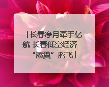 长春净月牵手亿航 长春低空经济“添翼”腾飞