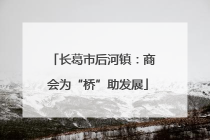 长葛市后河镇：商会为“桥”助发展