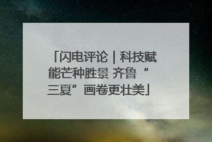 闪电评论｜科技赋能芒种胜景 齐鲁“三夏”画卷更壮美