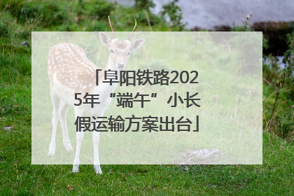 阜阳铁路2025年“端午”小长假运输方案出台