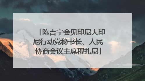 陈吉宁会见印尼大印尼行动党秘书长、人民协商会议主席穆扎尼