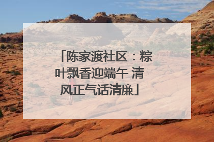 陈家渡社区：粽叶飘香迎端午 清风正气话清廉