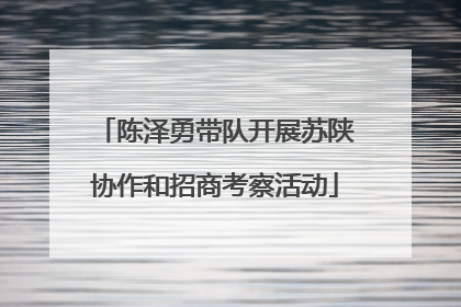 陈泽勇带队开展苏陕协作和招商考察活动