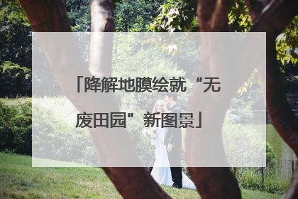 降解地膜绘就“无废田园”新图景