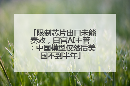 限制芯片出口未能奏效，白宫AI主管：中国模型仅落后美国不到半年