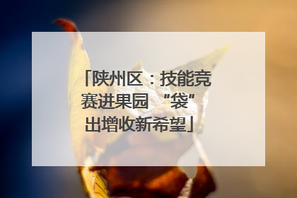 陕州区：技能竞赛进果园 “袋”出增收新希望