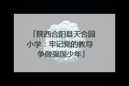 陕西合阳县天合园小学：牢记党的教导 争做强国少年