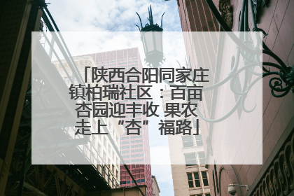 陕西合阳同家庄镇柏瑞社区：百亩杏园迎丰收 果农走上“杏”福路